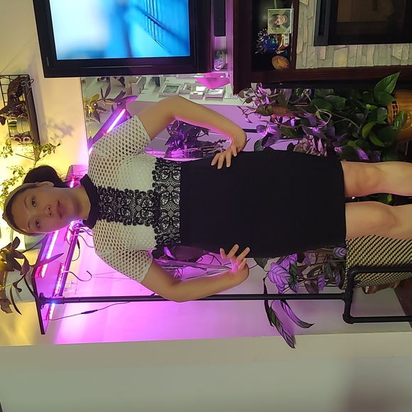 Zara Woman Dress Medium Black White - Picture 1 of 3